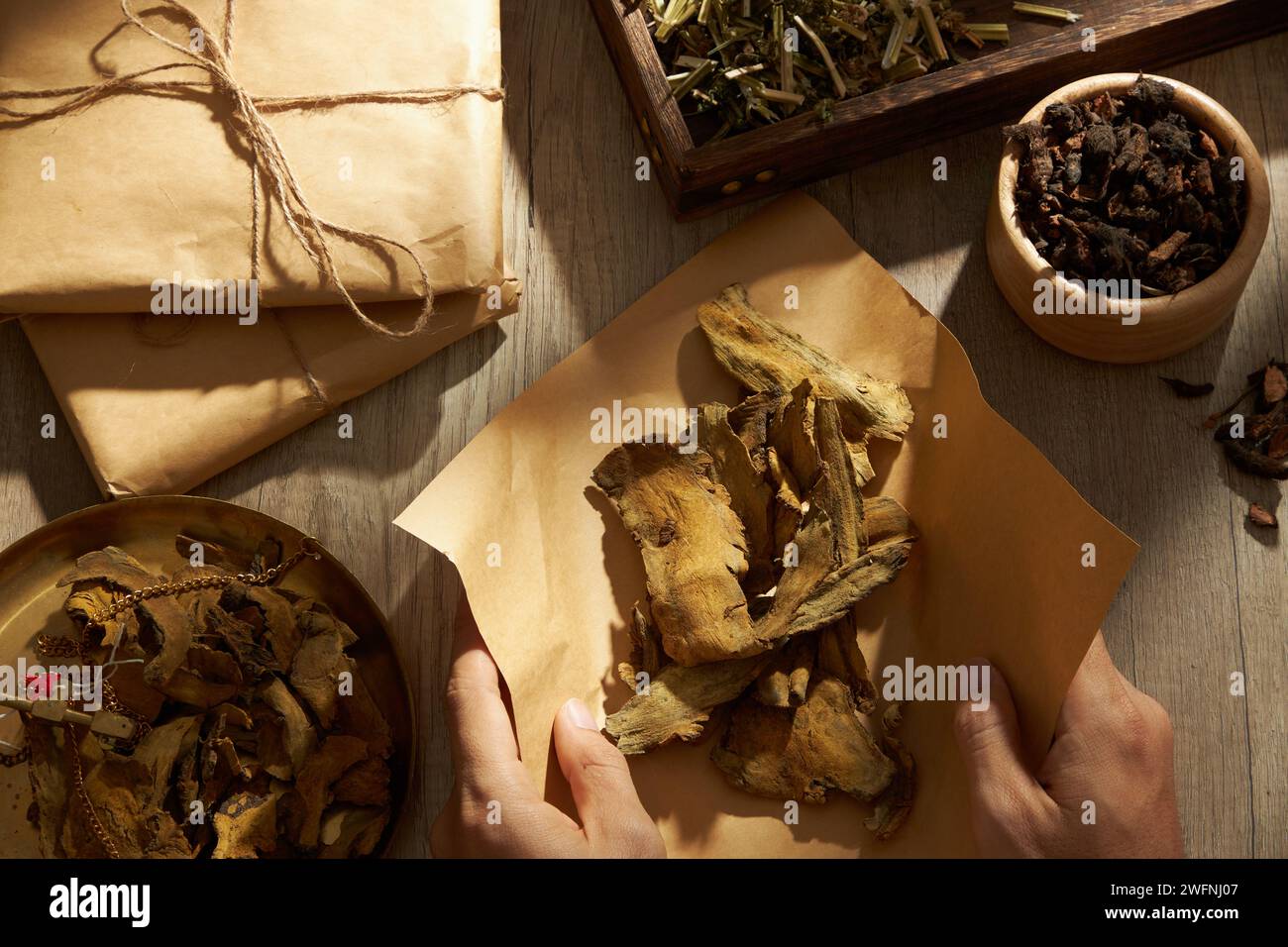 Rhubarb root and rhizome displayed on golden steelyard and being packed into a paper by hand model with Chinese motherwort, Purple Nutsedge and medici Stock Photo