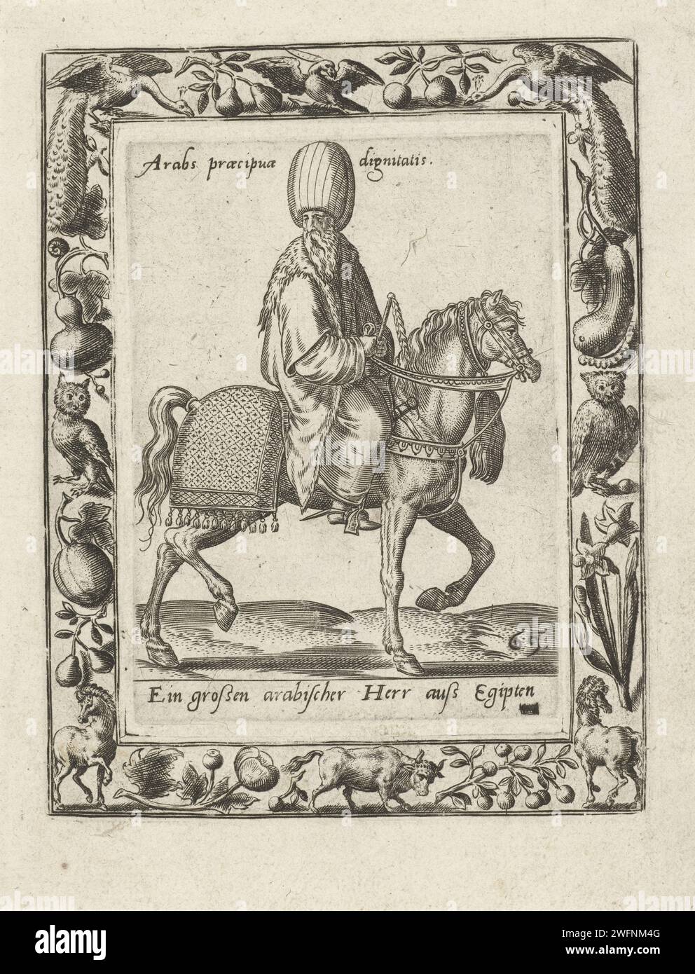 Arab man on horseback, Abraham de Bruyn (attributed to), 1577  Cartouche with image of horse and rider to the right. The horse is in step. The rider is dressed as an Arabian Lord. He has a staff in his hand. The print has a German caption and Latin inscription. Print originally from 'Equitum Descripcio ...', 1577. Cologne paper engraving warfare; military affairs (+ cavalry, horsemen). folk costume, regional costume. Asiatic races and peoples (with NAME). feudal lord Stock Photo