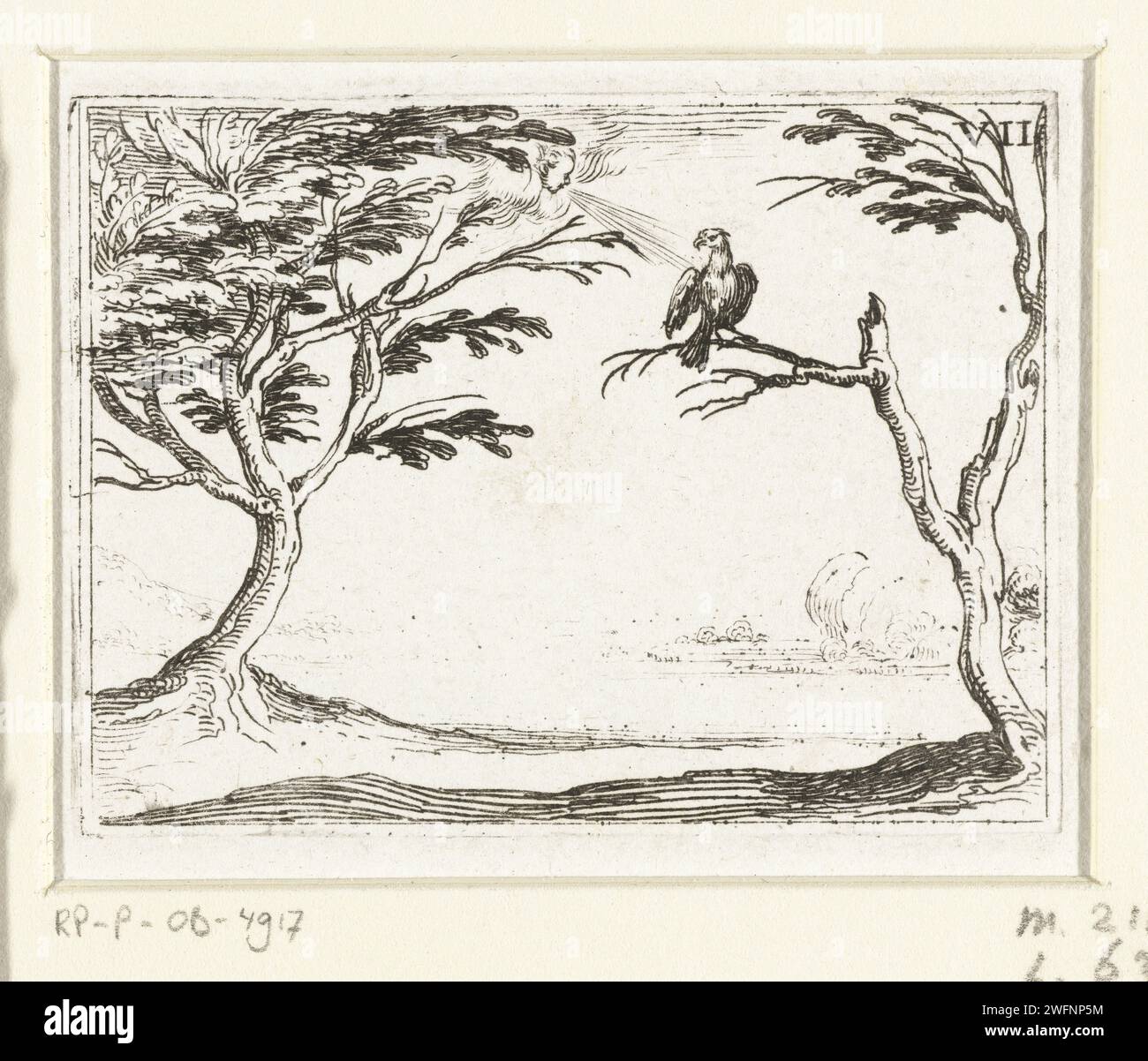 Gier in Wind, Jacques Callot, 1646 print Presentation of a vulture on a tree branch. A face in a cloud blows at him. This magazine is part of the emblem series 'Life of Maria in Emblemen'. In addition to a title page and 26 emblems, the first state of this series also includes three blades with hymns on Maria in book print without image. print maker: Nancypublisher: Paris paper etching predatory birds: vulture. winds Stock Photo