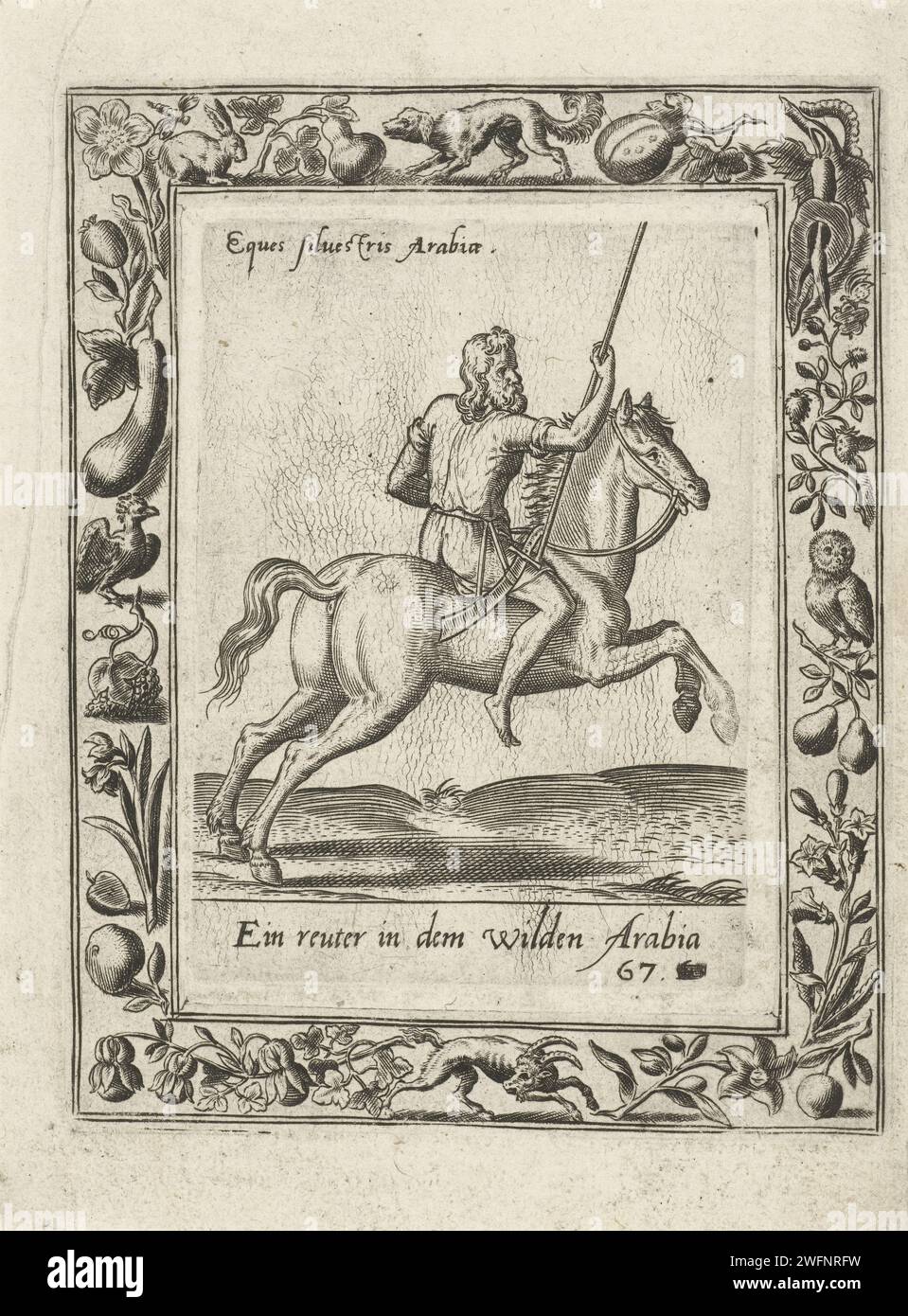 Arabic rider, Abraham de Bruyn (attributed to), 1577  Cartouche with image of horse and rider to the right. The horse is in a gallop. The rider is an Arab. He drives without a saddle and has a spear in his hand. The print has a German caption and Latin inscription. Print originally from 'Equitum Descripcio ...', 1577. Cologne paper engraving warfare; military affairs (+ cavalry, horsemen). folk costume, regional costume. Asiatic races and peoples (with NAME). (military) uniforms Stock Photo