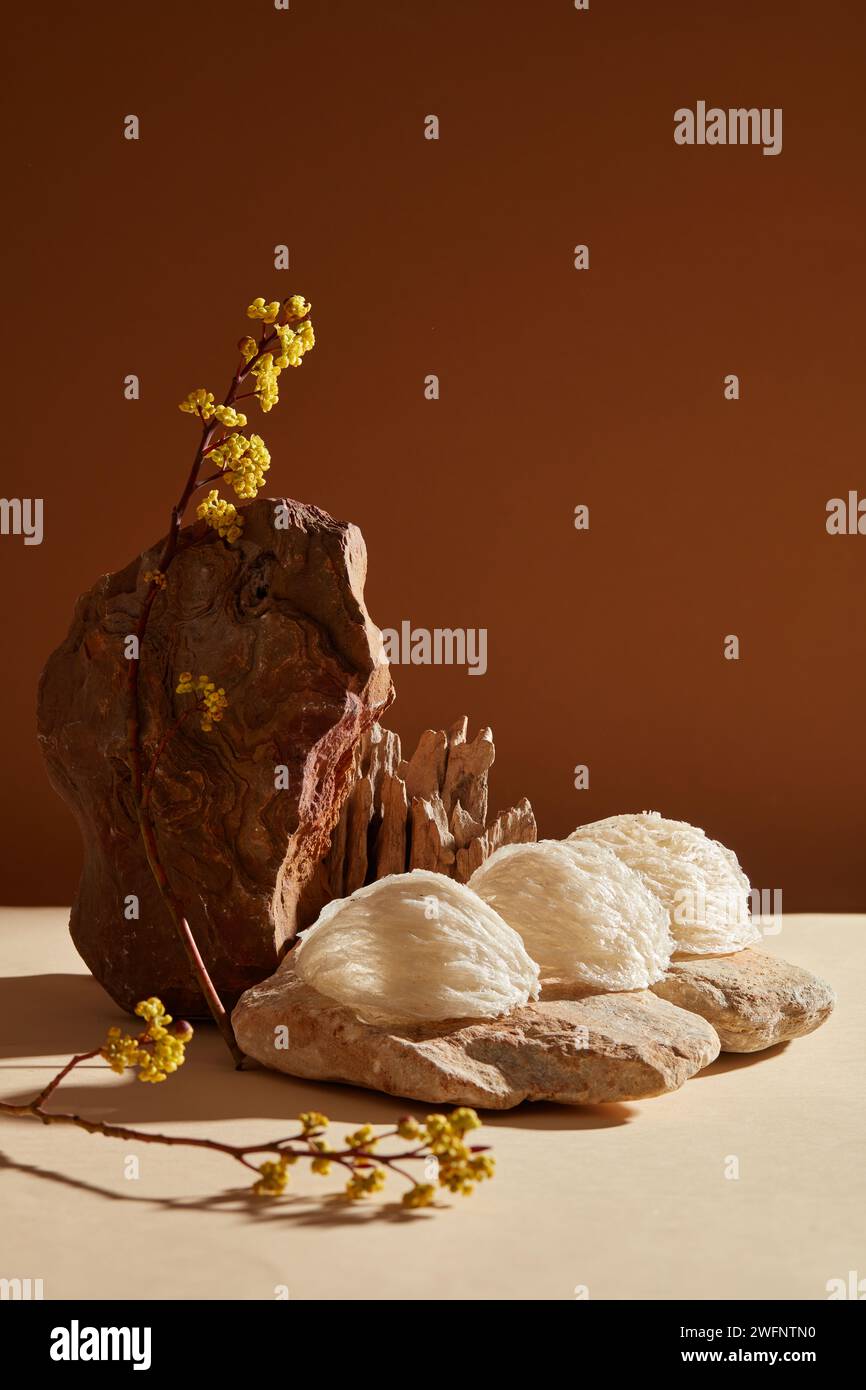 Edible bird nests placed on stone, decorated with yellow flower
