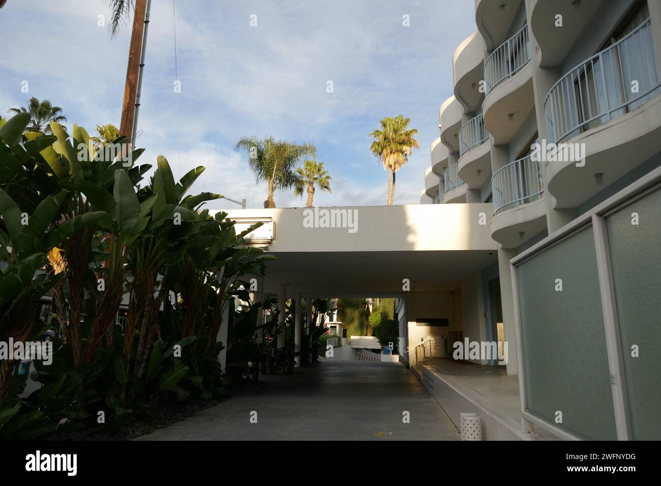 West Hollywood California USA 30th January 2024 A General View Of   West Hollywood California Usa 30th January 2024 A General View Of Atmosphere The Standard Hotel Closed At 8300 Sunset Blvd On January 30 2024 In West Hollywood California Usa Photo By Barry Kingalamy Stock Photo 2WFNYDG 