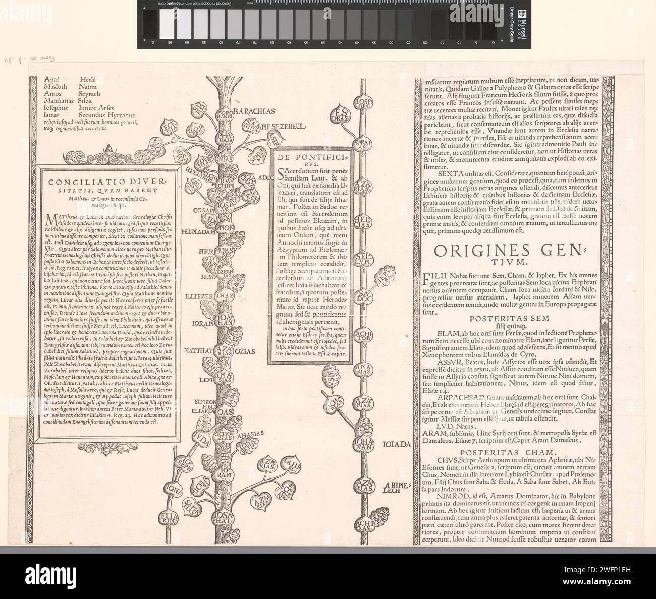 Stamboom van Christus, Tillmann Stella (Possibly), After Tillmann Stella, 1555 print   paper letterpress printing family lineage, pedigree, genealogical tree or table. Christ Stock Photo