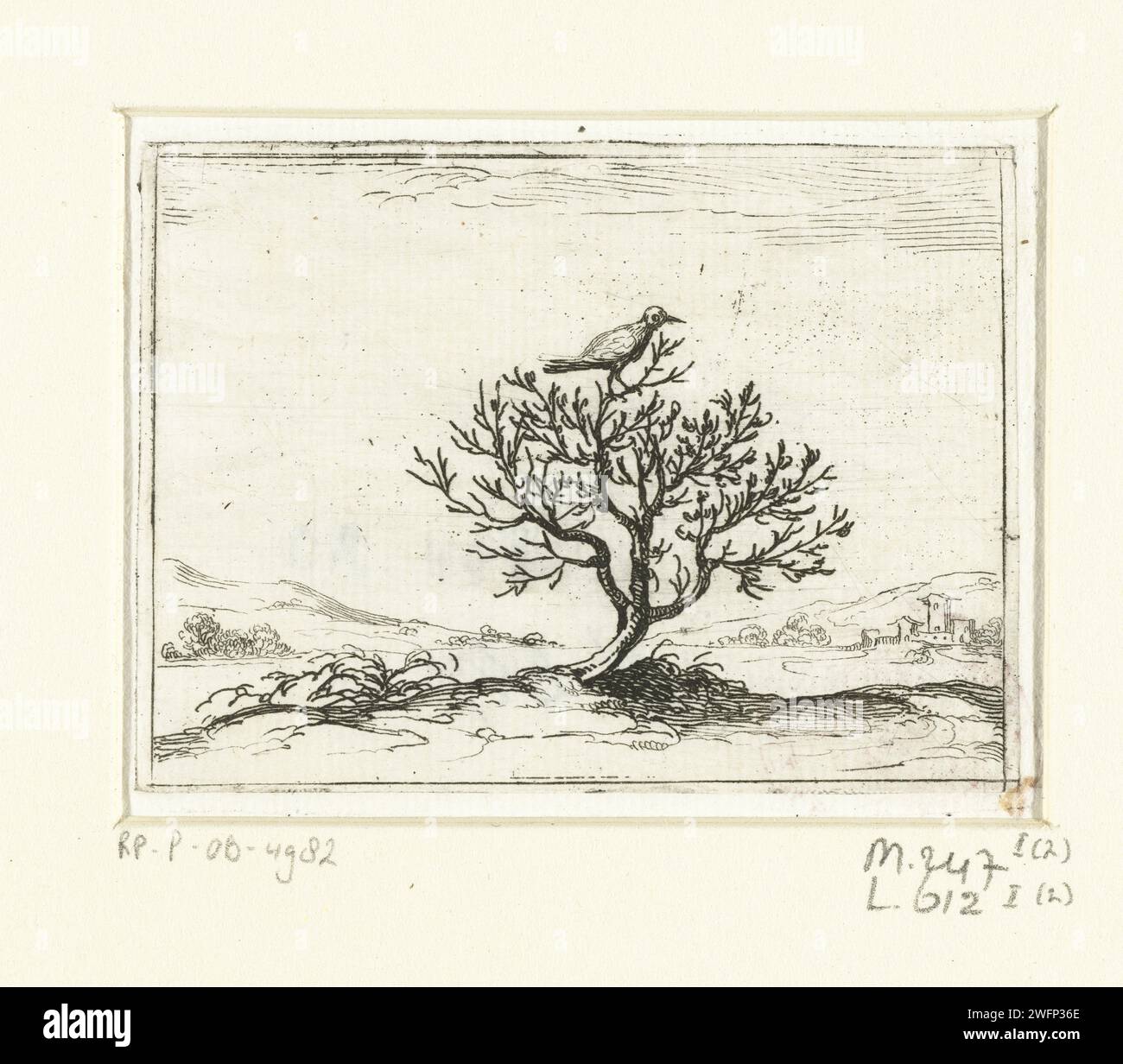 Nachtegaal on a bush, Jacques Callot, 1621 - 1635 print Presentation of a bird that sits on a bush in an abandoned landscape. This magazine is part of the emblem series 'Monastic Life in Emblemen'. In addition to an illustrated title page and 26 emblems, the second state of this series is a title page and a magazine with assignment, both in book print without image. Nancy paper etching song-birds: nightingale. shrubs Stock Photo