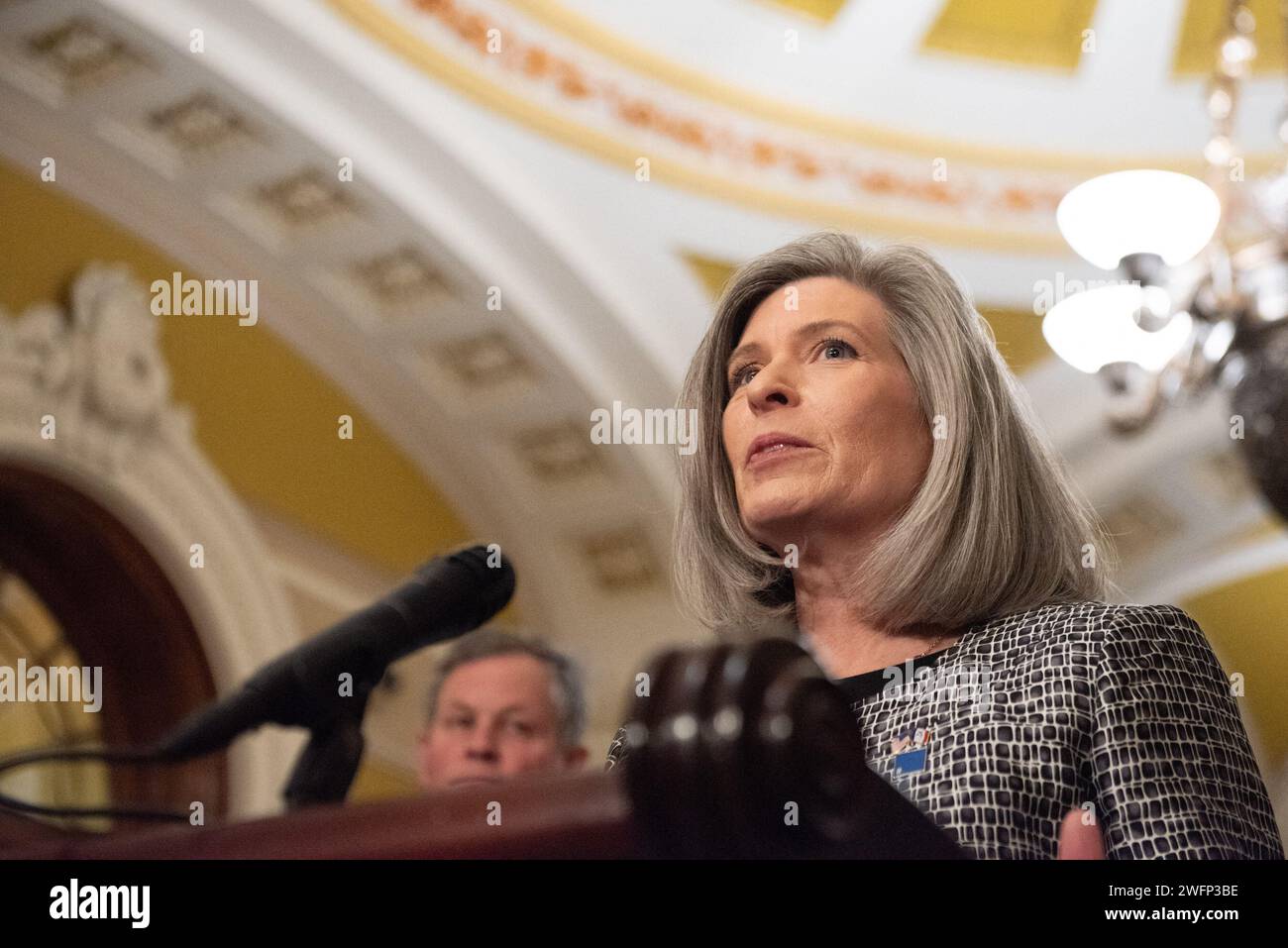 Washington, United States. 31st Jan, 2024. United States Senator Joni Ernst (Republican of Iowa
