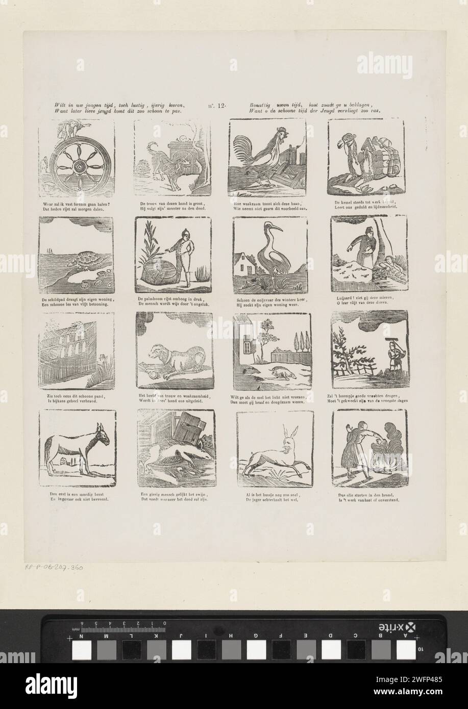Beautiful In His Time {Letterpress Print} Beautiful In His Time {Letterpress Print}