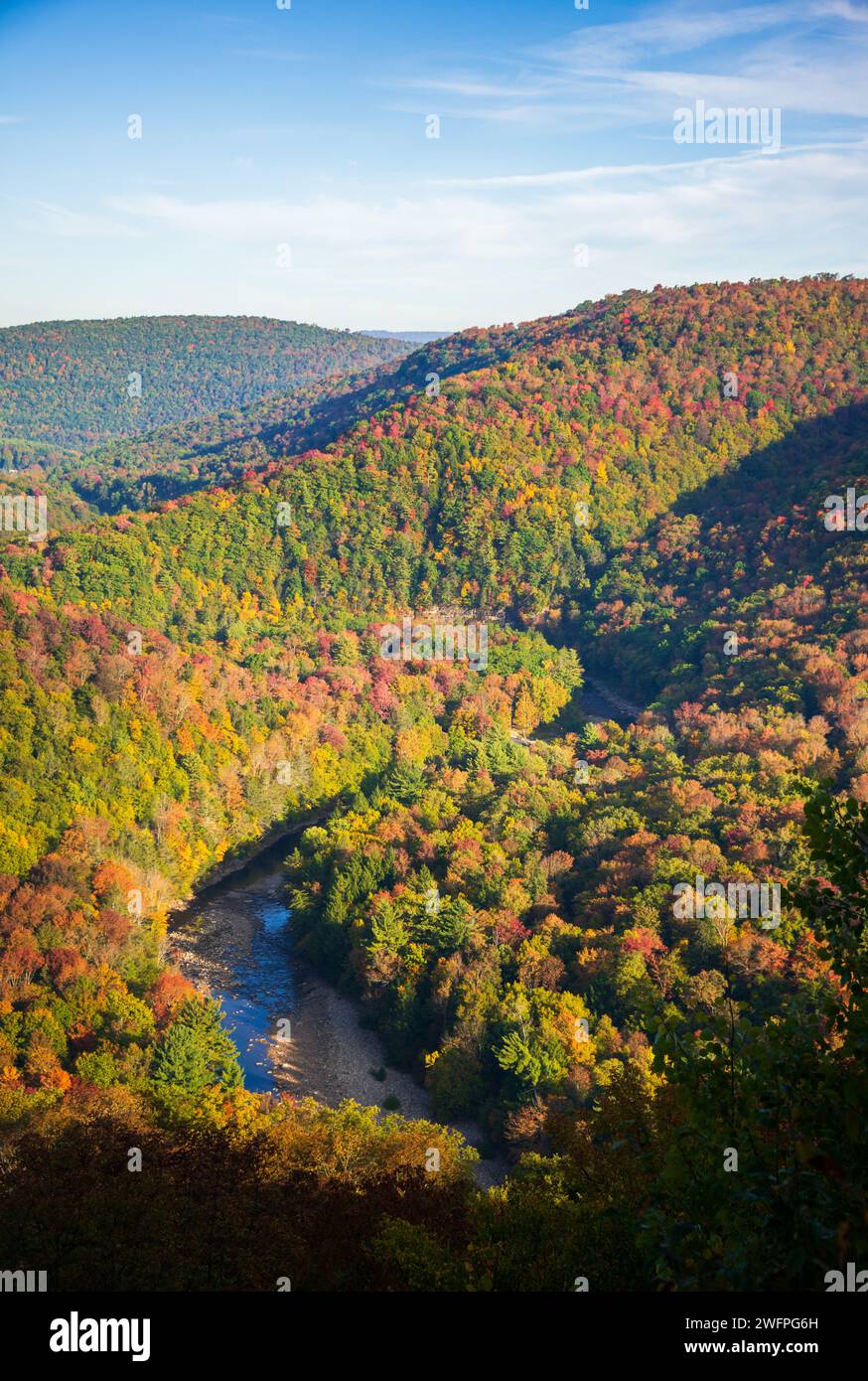 Worlds End State Park, State park in Pennsylvania, USA Stock Photo Alamy