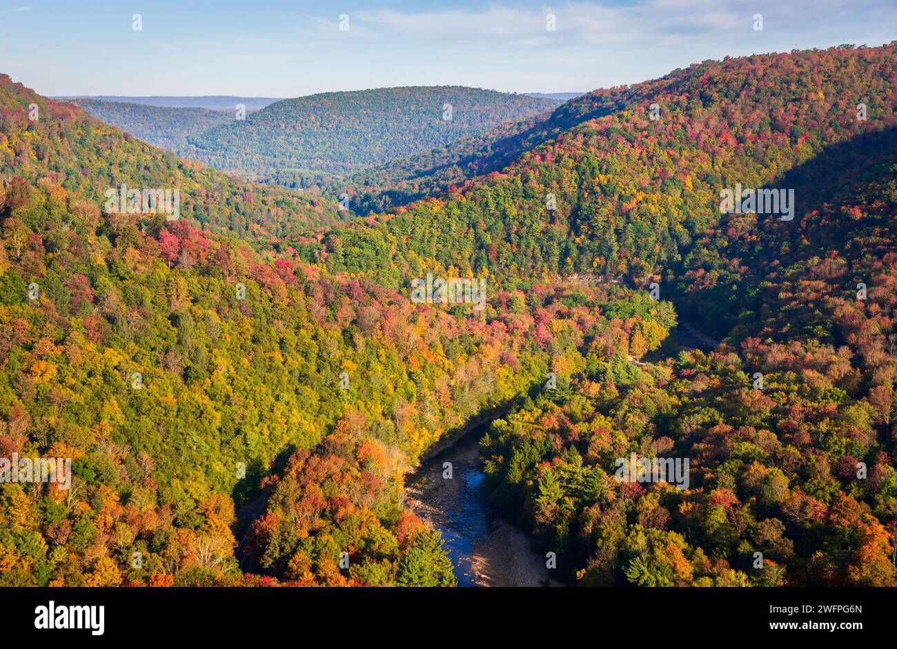 Worlds End State Park, State park in Pennsylvania, USA Stock Photo Alamy