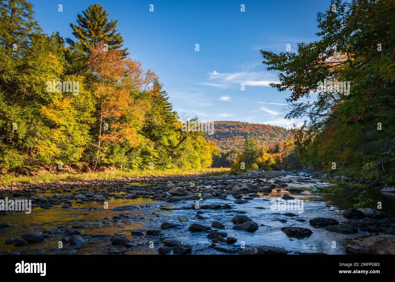 Worlds End State Park, State park in Pennsylvania, USA Stock Photo Alamy