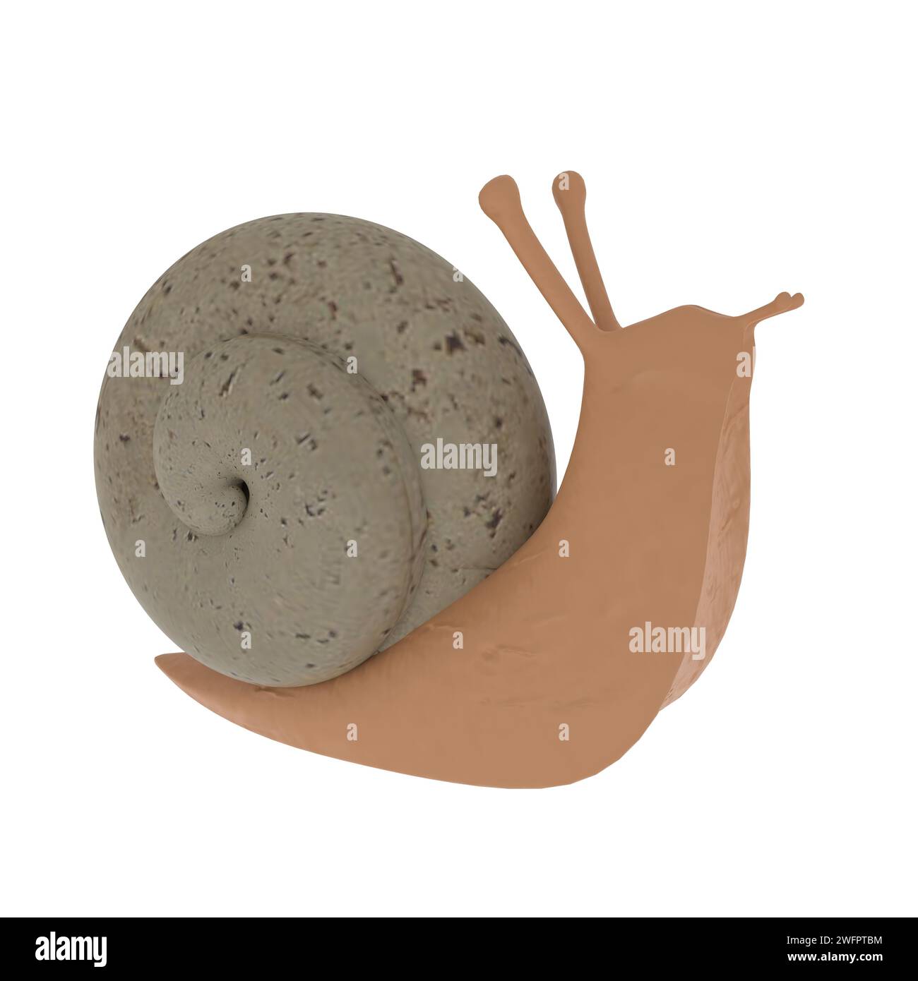 Snail isolated on white background. High quality 3d illustration Stock ...