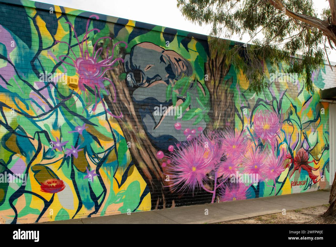 Koala Street Art by Robobop, Gilbert Lane, Dandenong, Victoria