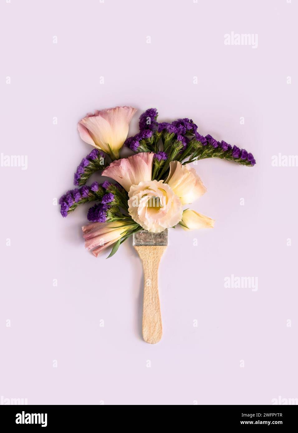 The flower brush Stock Photo
