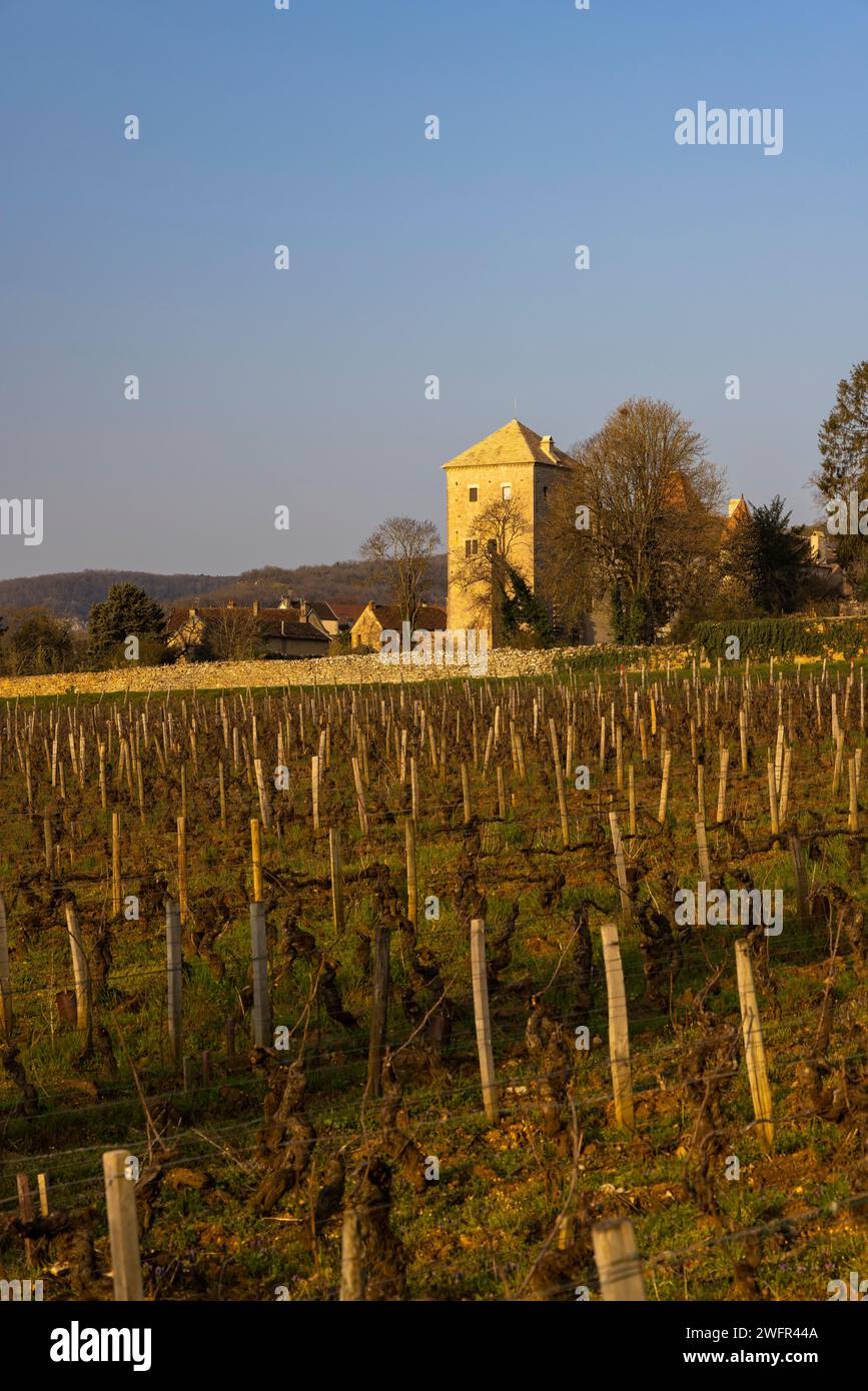 Chateau De Charodon Gevrey Chambertin Les Jeunes Rois main image 1