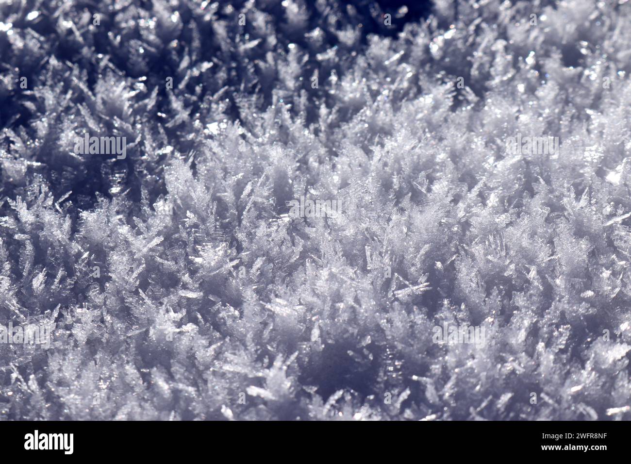 Surface of fresh snow in winter, macro shot Stock Photo