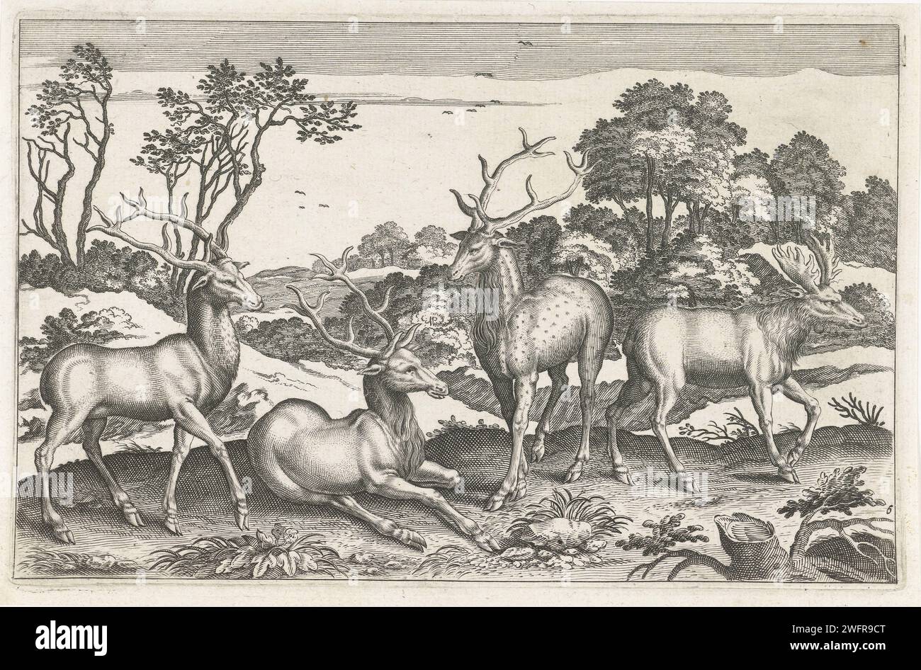 Herten, Anonymous, After Adriaen Collaert, 1628 - 1679 print Two deer, a Damhert and a moose in the foreground. In the background a forest landscape. The print is part of a series with animals as the subject. print maker: unknownafter design by: Antwerppublisher: Amsterdam paper engraving / etching hoofed animals: deer. hoofed animals: moose. forest, wood Stock Photo