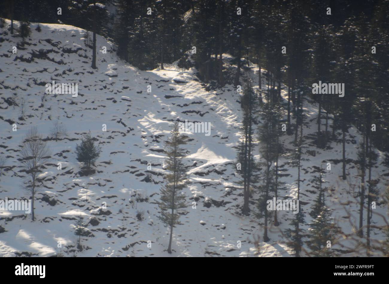 Beautiful clicks after heavy snowfalls in villages, snowfalls images, Stock Photo