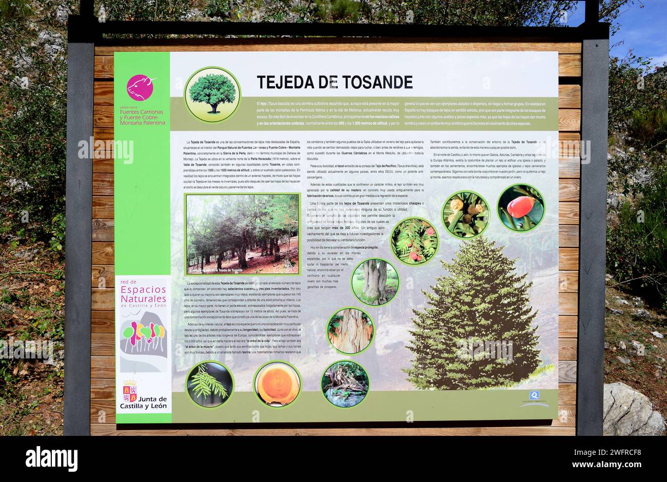 Tejeda de Tosande Natural Park, poster. Montaña Palentina, Palencia province, Castilla y Leon, Spain. Stock Photo