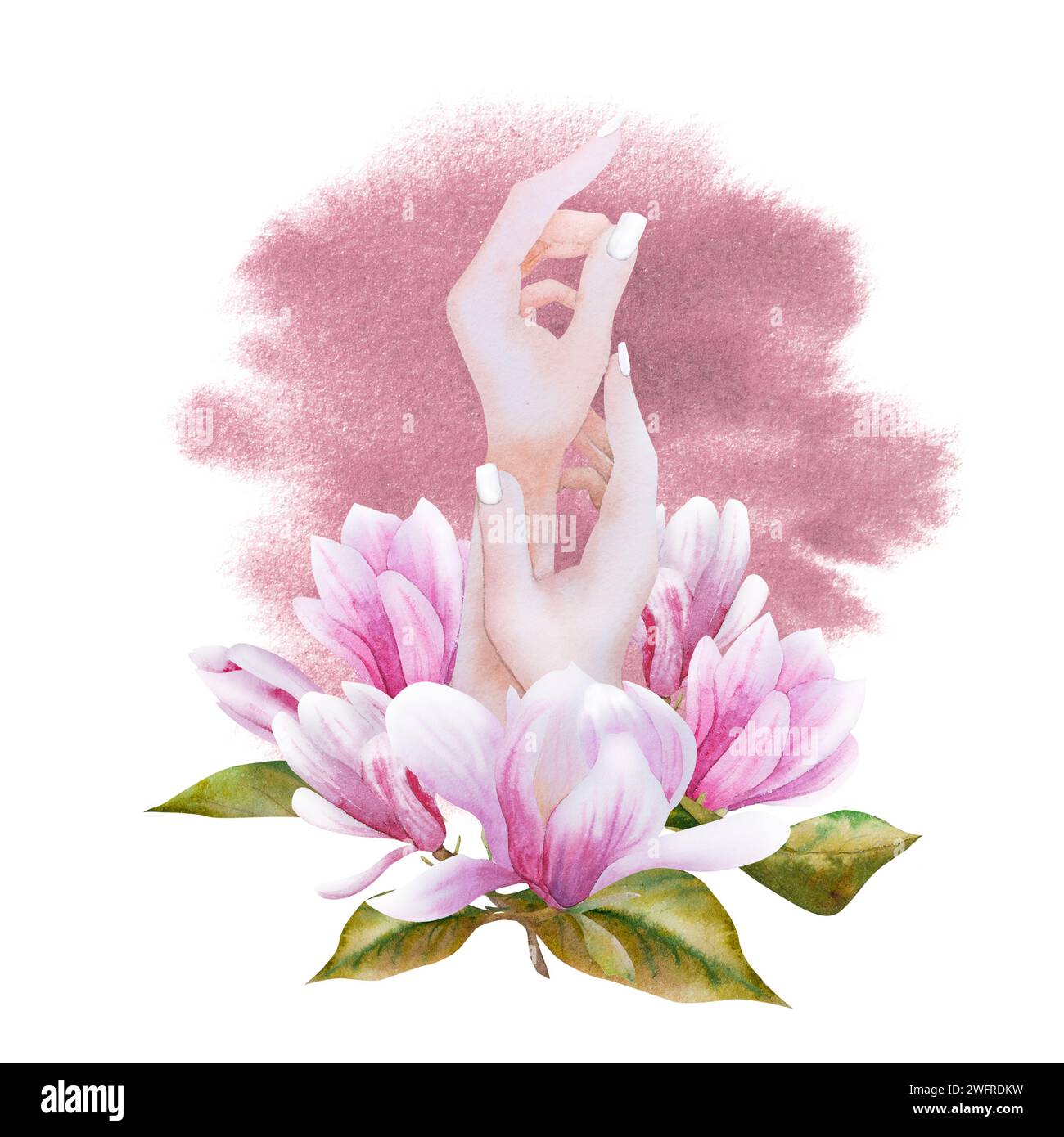Watercolor illustration with blooming pink magnolia flowers and woman's ...