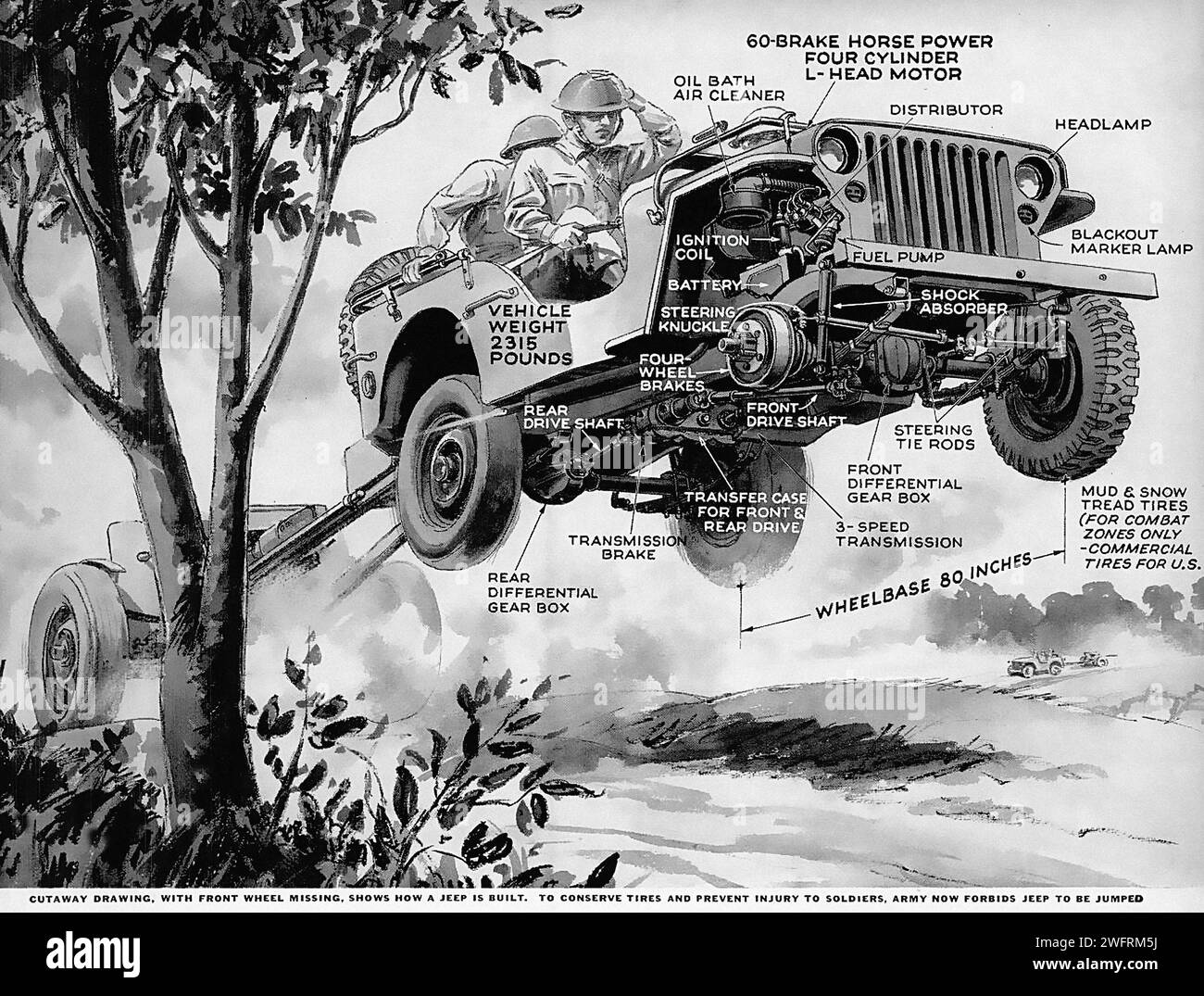 “CUTAWAY DRAWING, FRONT WHEEL DRIVE, MISSING, SHOWS A WILLYS MB JEEP, 1/4 TON 4X4, TO CONVEY TACTICS AND PREVENT INJURY TO SOLDIERS. ARMY JEEP SERIES REDESIGNED TO BE JUMPED FROM AIRPLANES.”  This is a black and white cutaway drawing of a Willys MB Jeep, a four-wheel drive utility vehicle used during World War II. The jeep is depicted driving through a muddy terrain with trees and bushes in the background. The image showcases various parts of the jeep, such as the oil bath air cleaner, distributor, and transmission gear box. The graphic style of the image is technical and detailed, characteris Stock Photo
