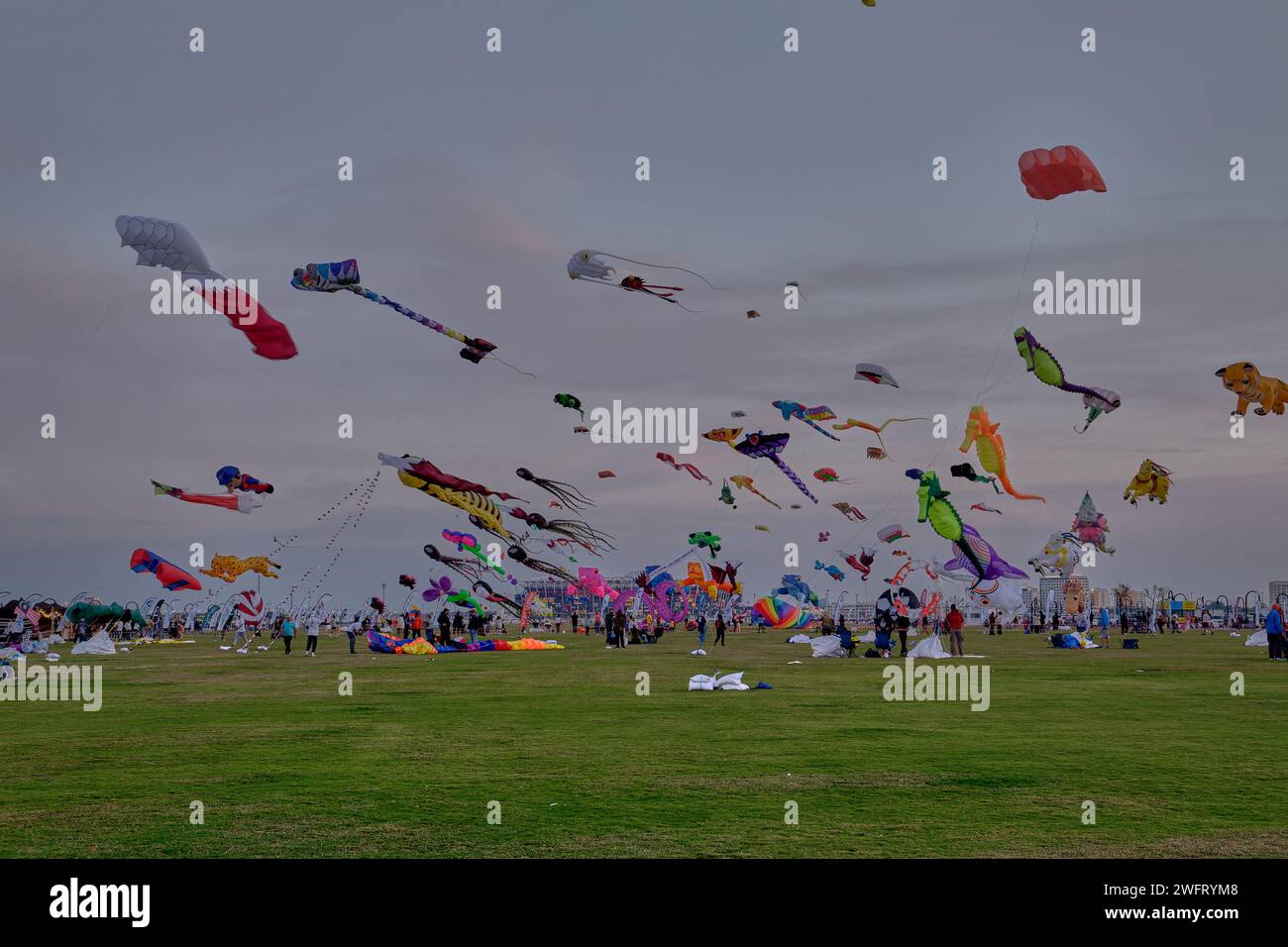 Qatar Kite Festival 2024 in Old Doha port (Mina District) night shot