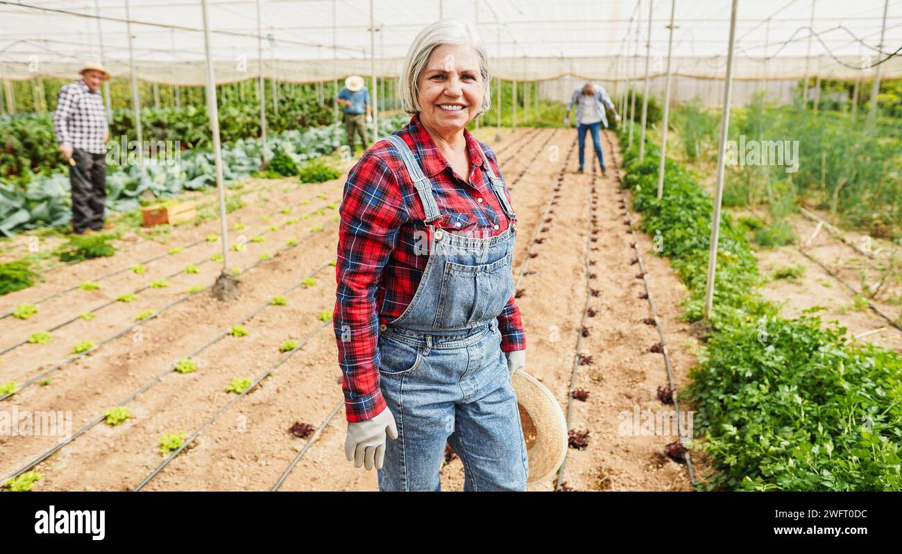 Happy latin senior woman smiling on camera while working inside ...