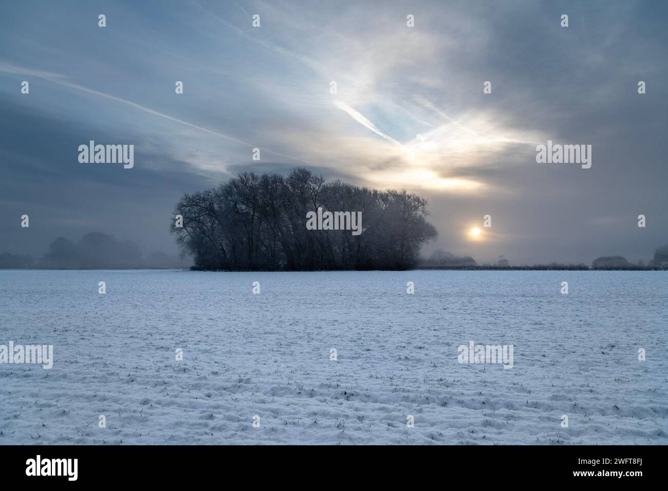 Snowy Winter Sunrise For A Small Woods Stock Photo - Alamy