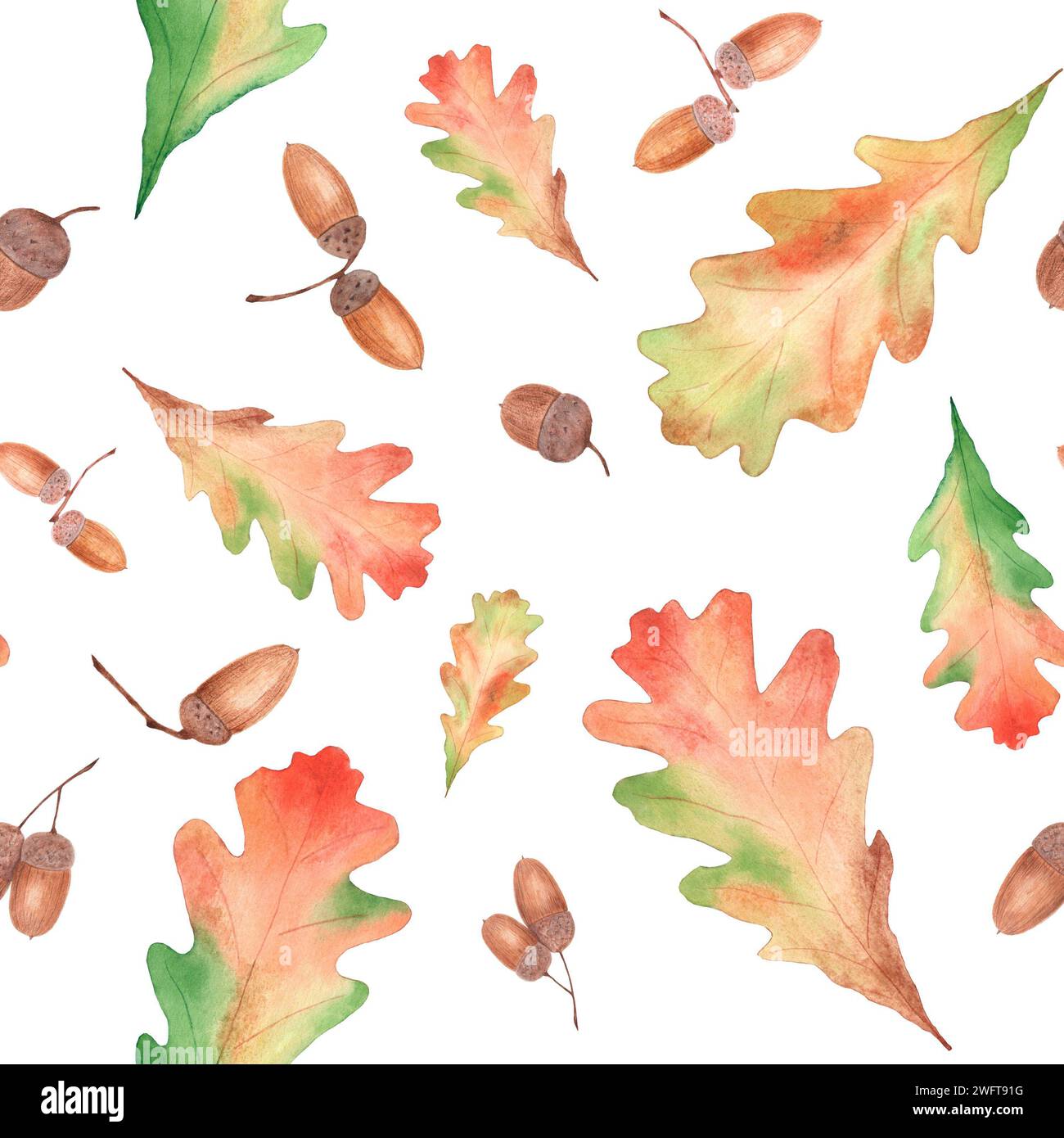 Watercolor seamless pattern with acorns and oak leaves. Illustration ...