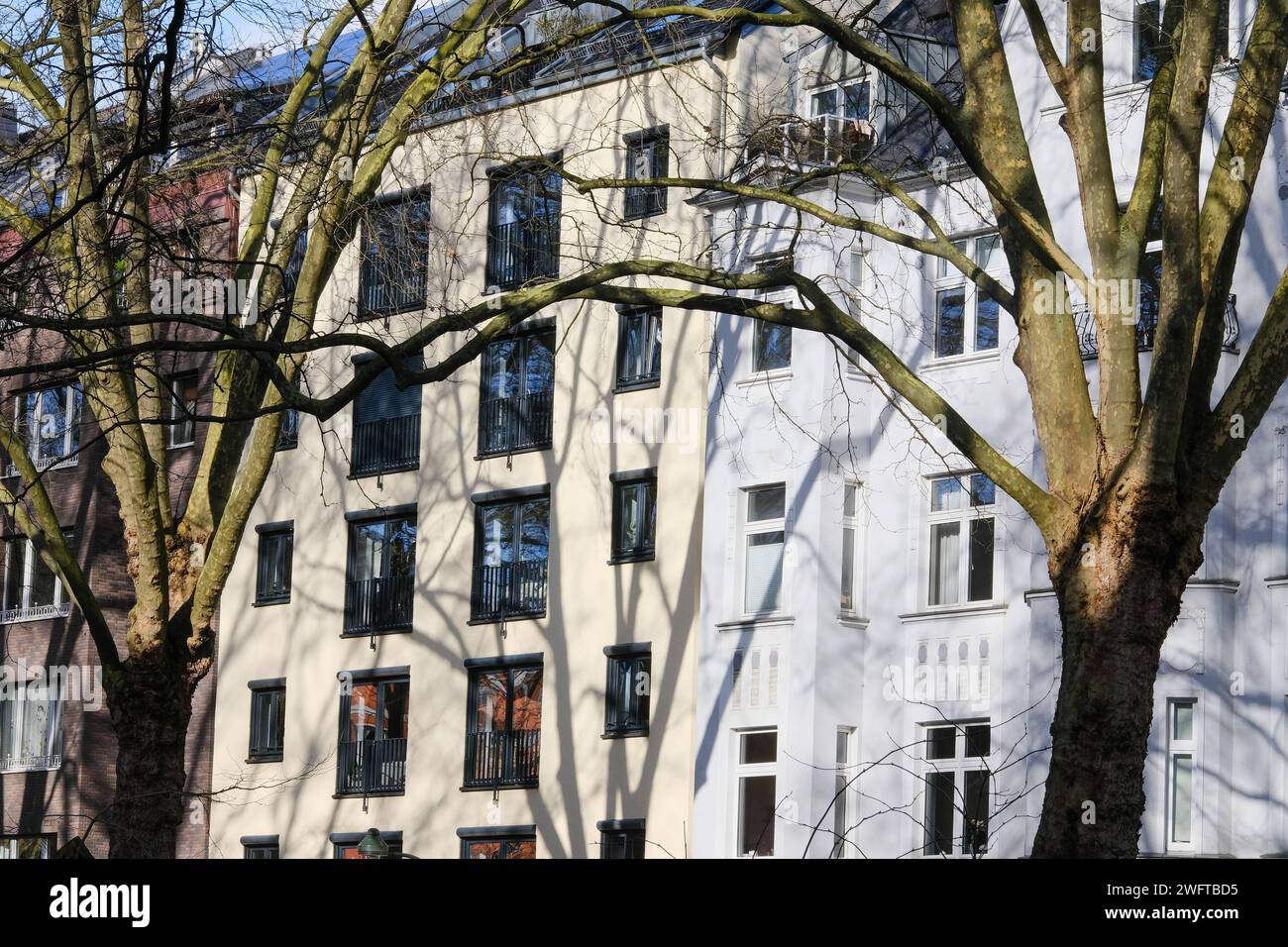  01 02 2024 hi-res stock photography and images - Alamy Bildidee 