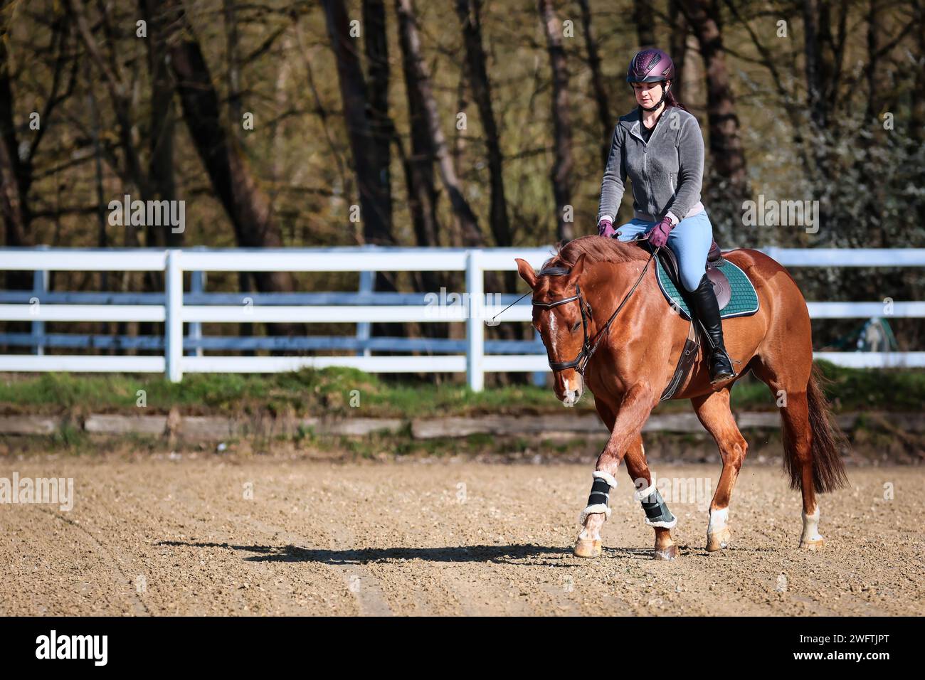 Balancing on spring rider hi-res stock photography and images - Alamy