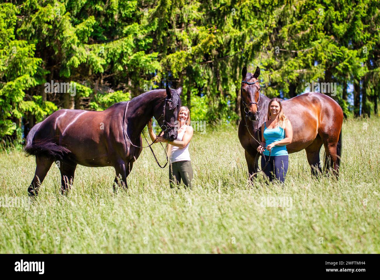 The picture shows two young women in light summer riding clothes with long brunette hair, standing with their horses on a summer meadow and laughing i Stock Photo