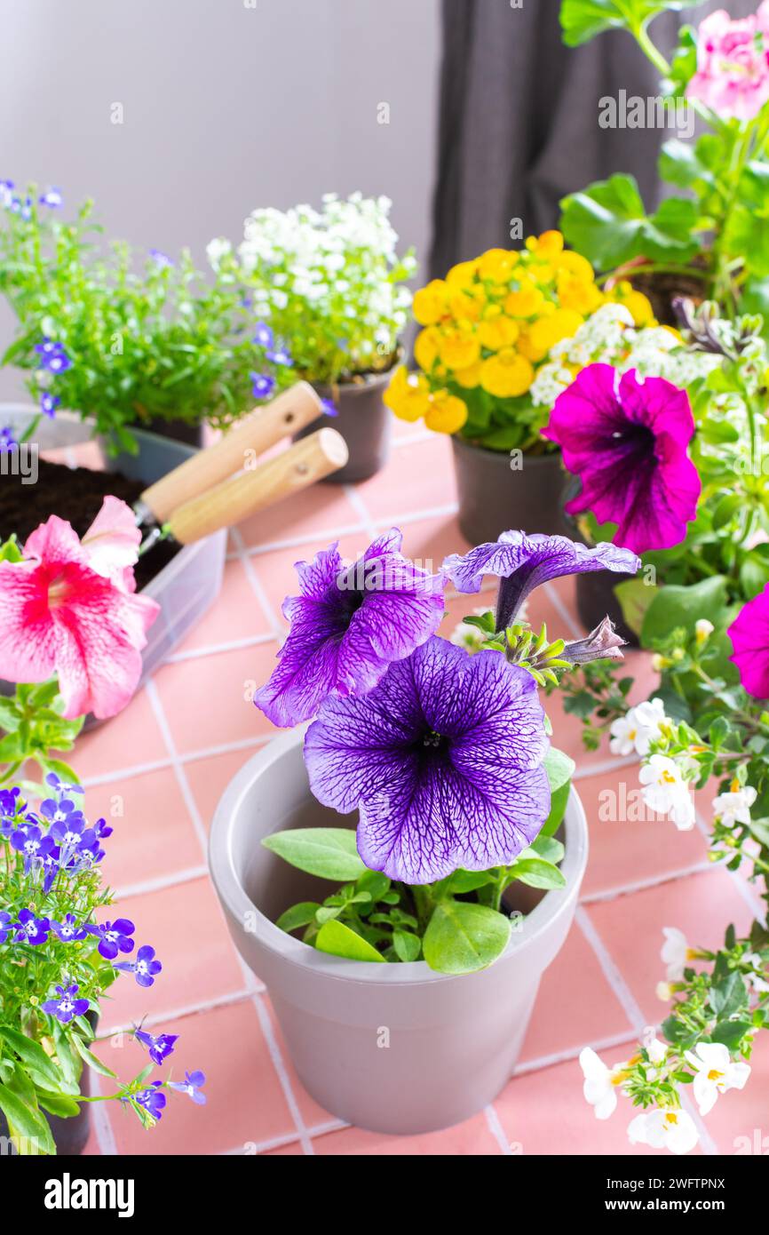 tree planter pots Seeley Cube Planter