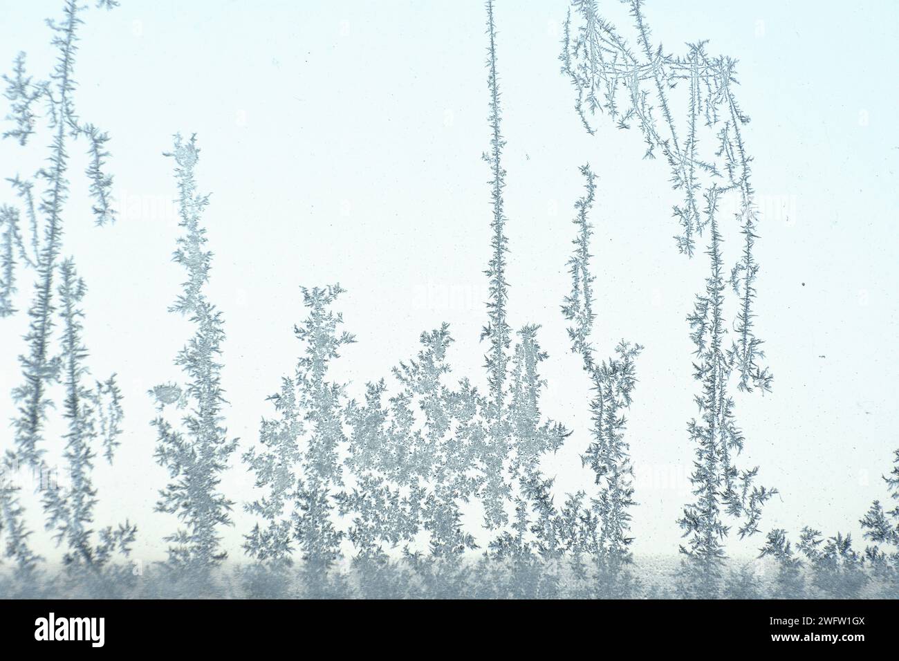 Ice crystals on a glass window Stock Photo