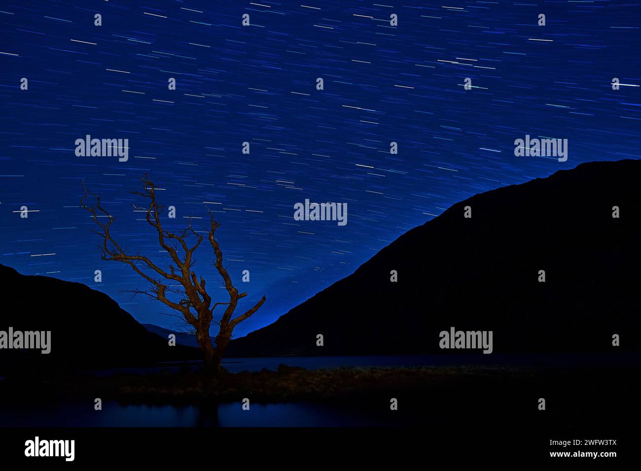 Milky way and lonely tree at night background Stock Photo - Alamy