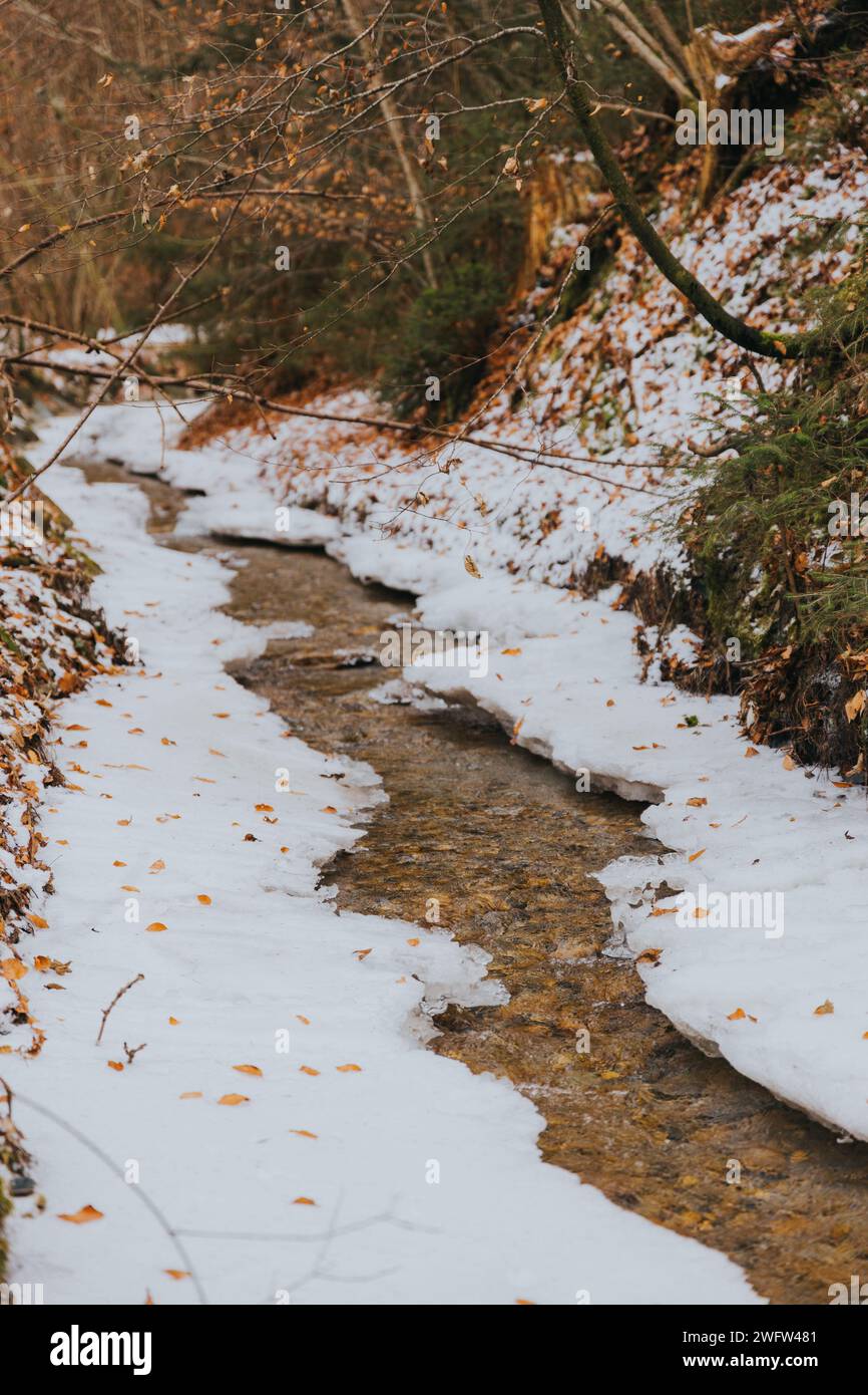 Snow-covered ground next to a scenic water trail Stock Photo