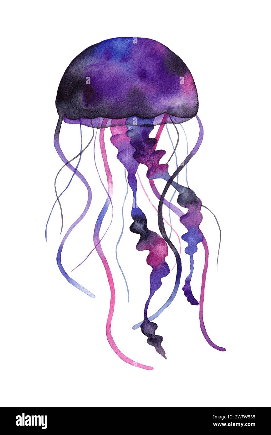 Watercolor jellyfish, hand draw illustration isolated on white background Stock Photo