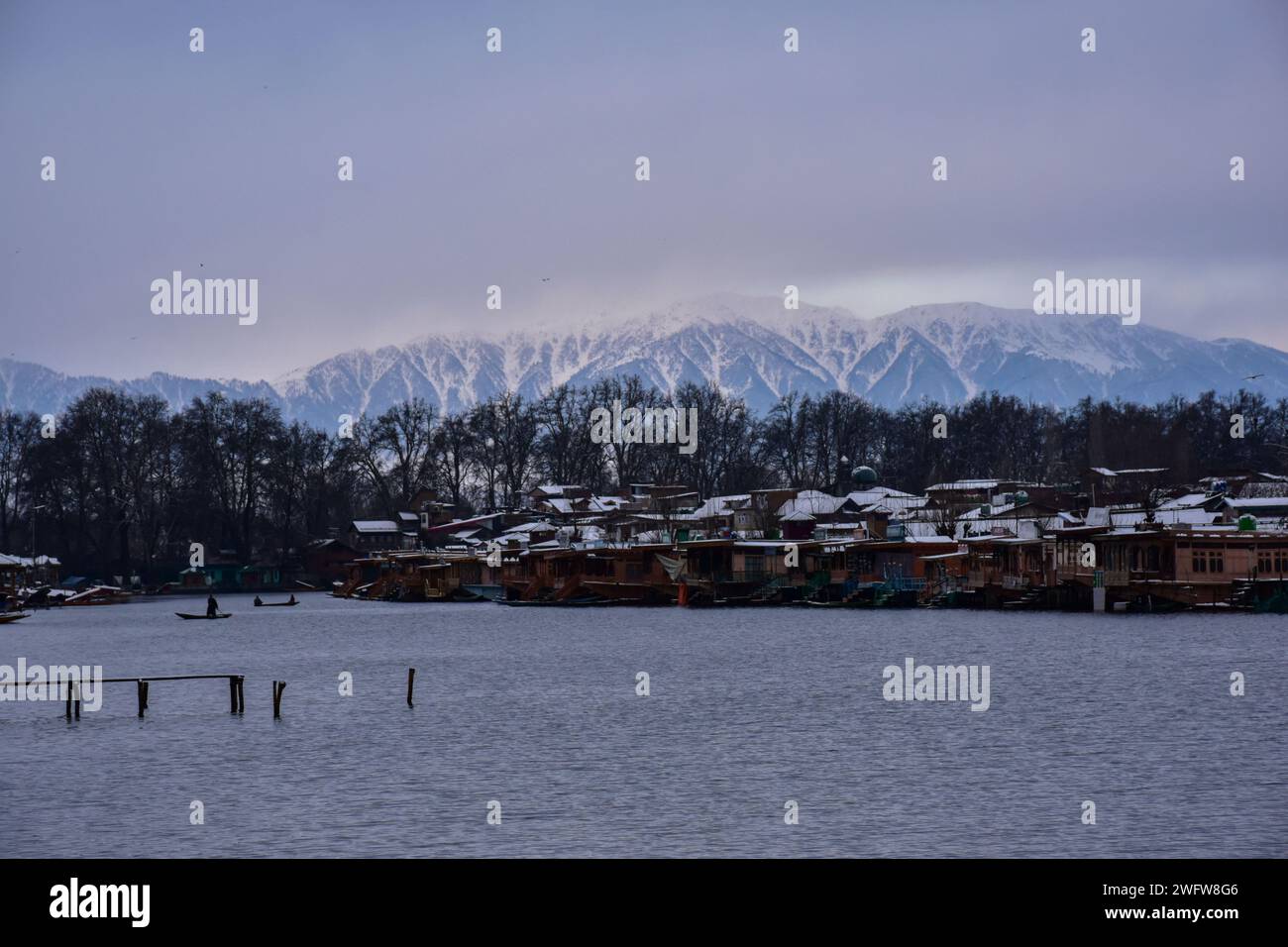 2024 prediction hires stock photography and images Alamy