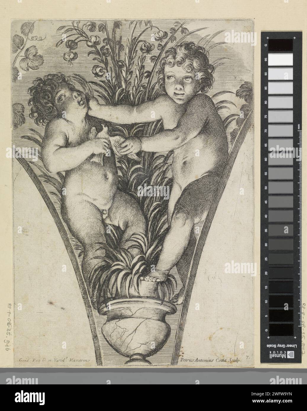 Two putti, fighting for a bird, at a plant in pot, Pietro Antonio Cotta, After Guido Reni, 1675 - 1685 print  Italy paper etching cupids: 'amores', 'amoretti', 'putti'. potted plants Stock Photo