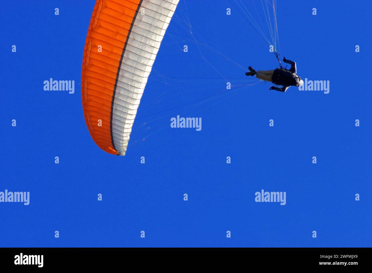 a paraglider with an orange and white canopy in the blue sky Stock Photo