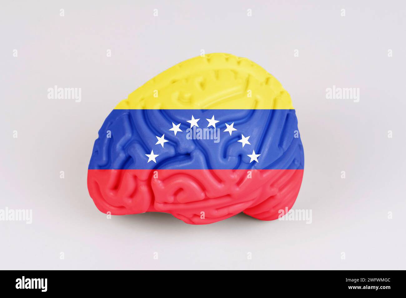 On a white background, a model of the brain with a picture of a flag - Venezuela. Close-up Stock Photo