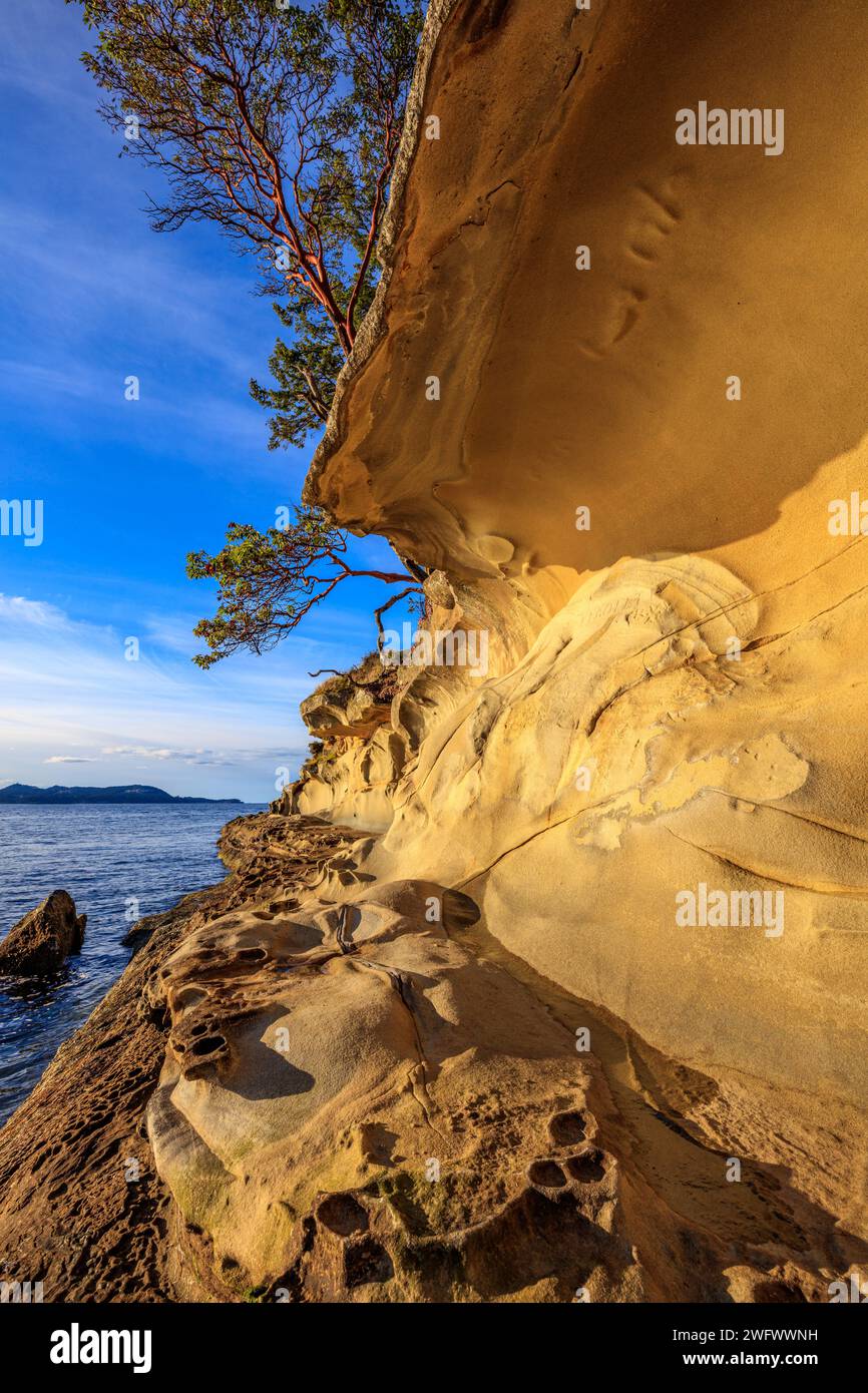 The eroded sandstone Malaspina Galleries on Gabriola Island, BC Stock Photo