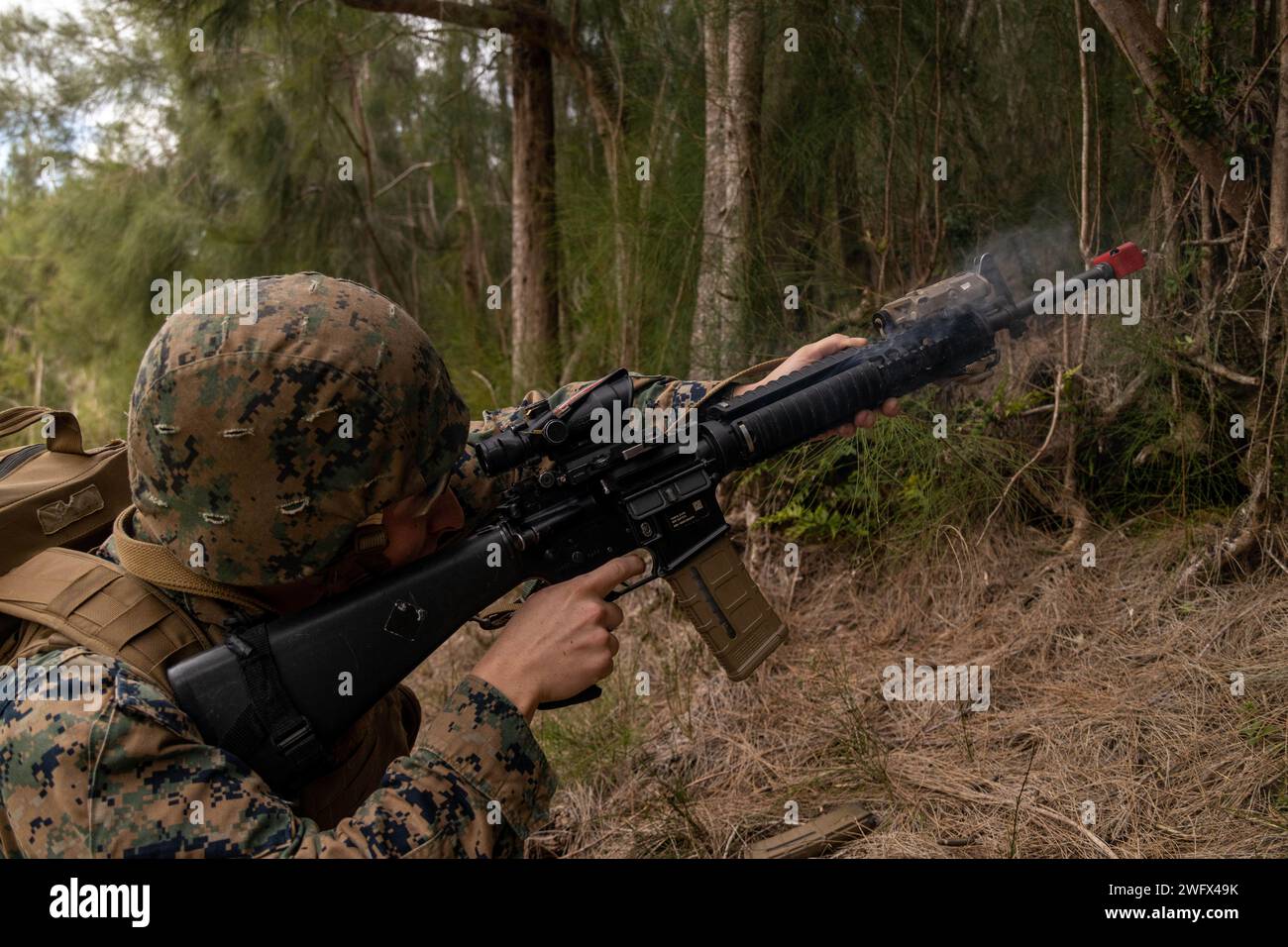 U.S. Marine Corps Cpl. Jake Colburn, an engineer equipment mechanic with 3rd Maintenance Battalion, 3rd Sustainment Group (Experimental), 3rd Marine Logistics Group, fires a M16 service rifle while engaging simulated enemy combatants during an Intermediate Maintenance Activity Field Exercise on Camp Hansen, Okinawa, Japan, Jan. 25, 2024. 3rd Maint. Bn. held a FEX to enhance Marine Corps common skills and foster force readiness while conducting higher echelons of maintenance. Stock Photo