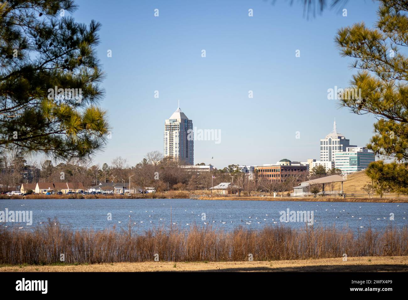 Virginia Beach Town Center Skyline Over Lake Trashmore Stock Photo Alamy