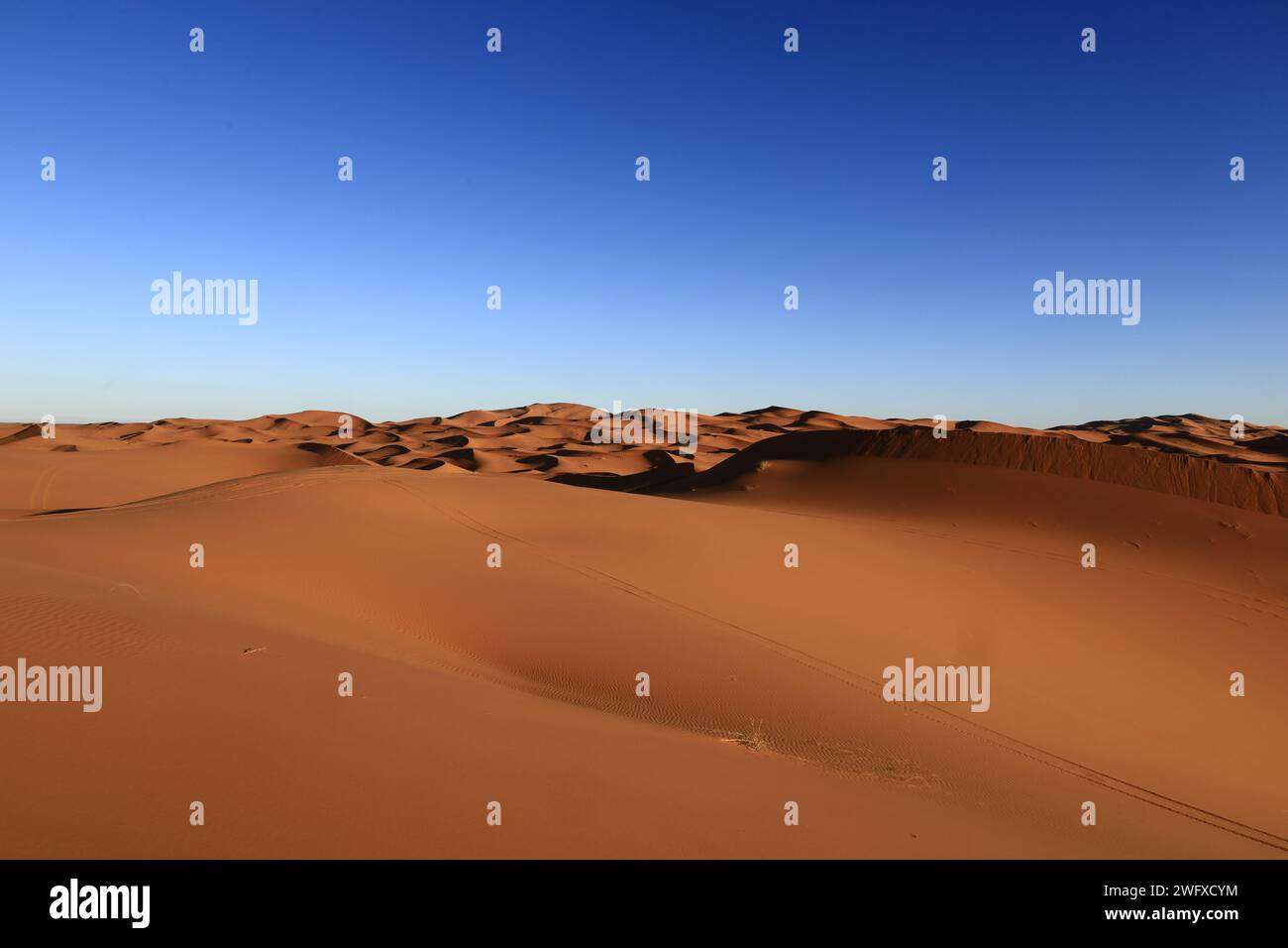 Erg Chebbi is one of Morocco's several ergs which is a large seas of dunes formed by wind-blown sand. Stock Photo