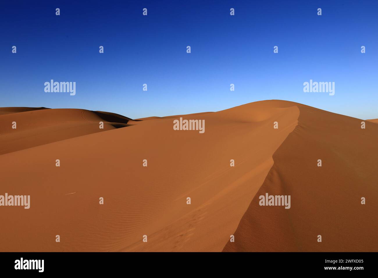 Erg Chebbi is one of Morocco's several ergs which is a large seas of dunes formed by wind-blown sand. Stock Photo