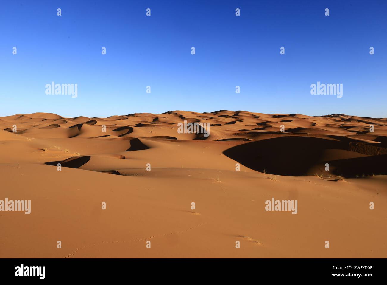 Erg Chebbi is one of Morocco's several ergs which is a large seas of dunes formed by wind-blown sand. Stock Photo