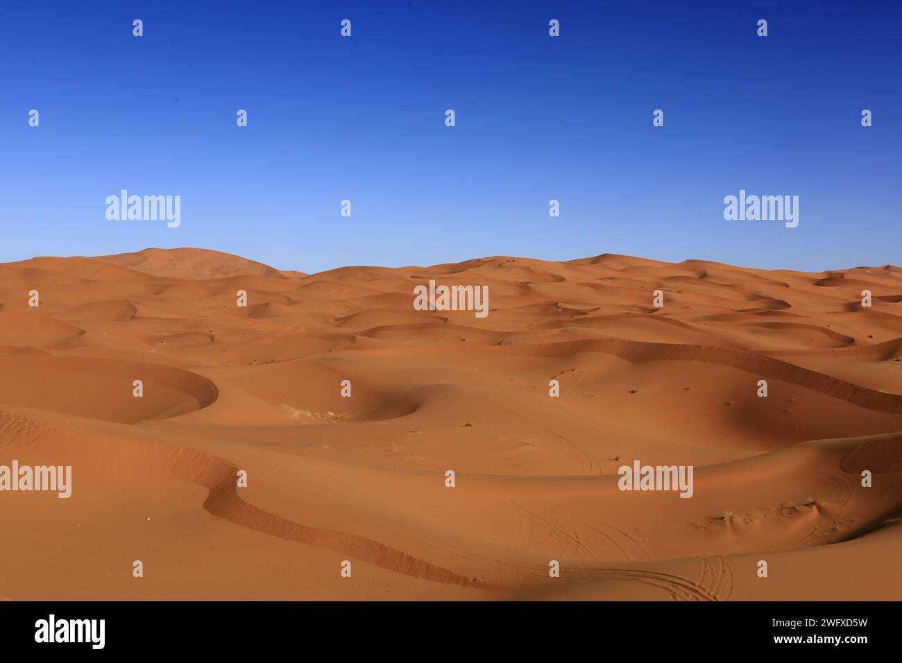 Erg Chebbi is one of Morocco's several ergs which is a large seas of dunes formed by wind-blown sand. Stock Photo