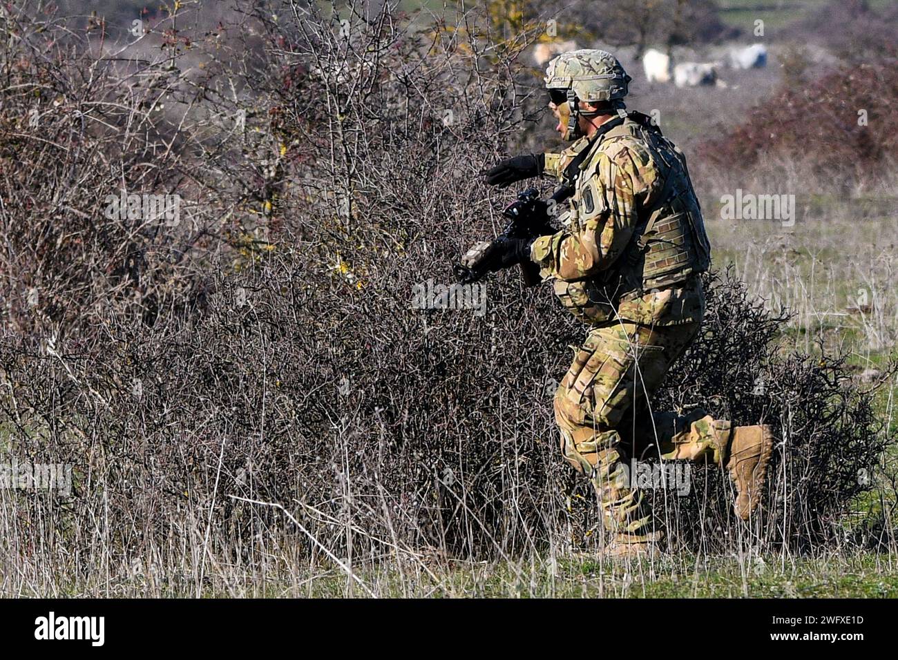 U.S. Army paratroopers assigned to the 173rd Brigade Support Battalion ...