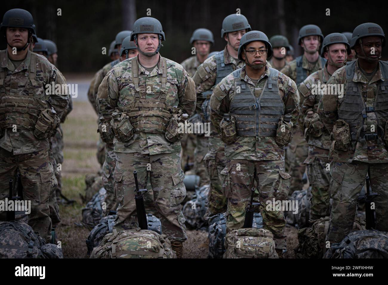 A formation of Soldier from the Officer Candidate School stand together ...