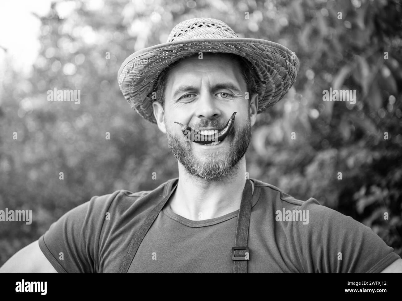 farmer villager in straw hat with chili pepper vegetable Stock Photo ...