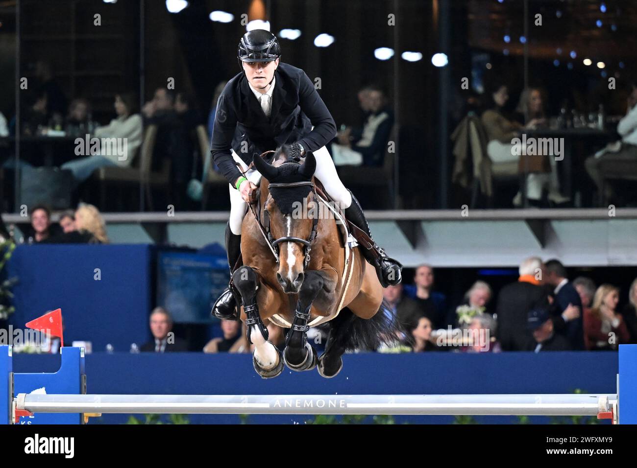AMSTERDAM - Dominik Juffinger with Diachacco during the Longines FEI Jumping World Cup at the Jumping Amsterdam 2024 tournament at the RAI on January 28, 2024 in Amsterdam, the Netherlands. ANP | Hollandse Hoogte | GERRIT VAN COLOGNE Stock Photo